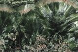Polished Seraphinite Slab - Siberia #174809-1